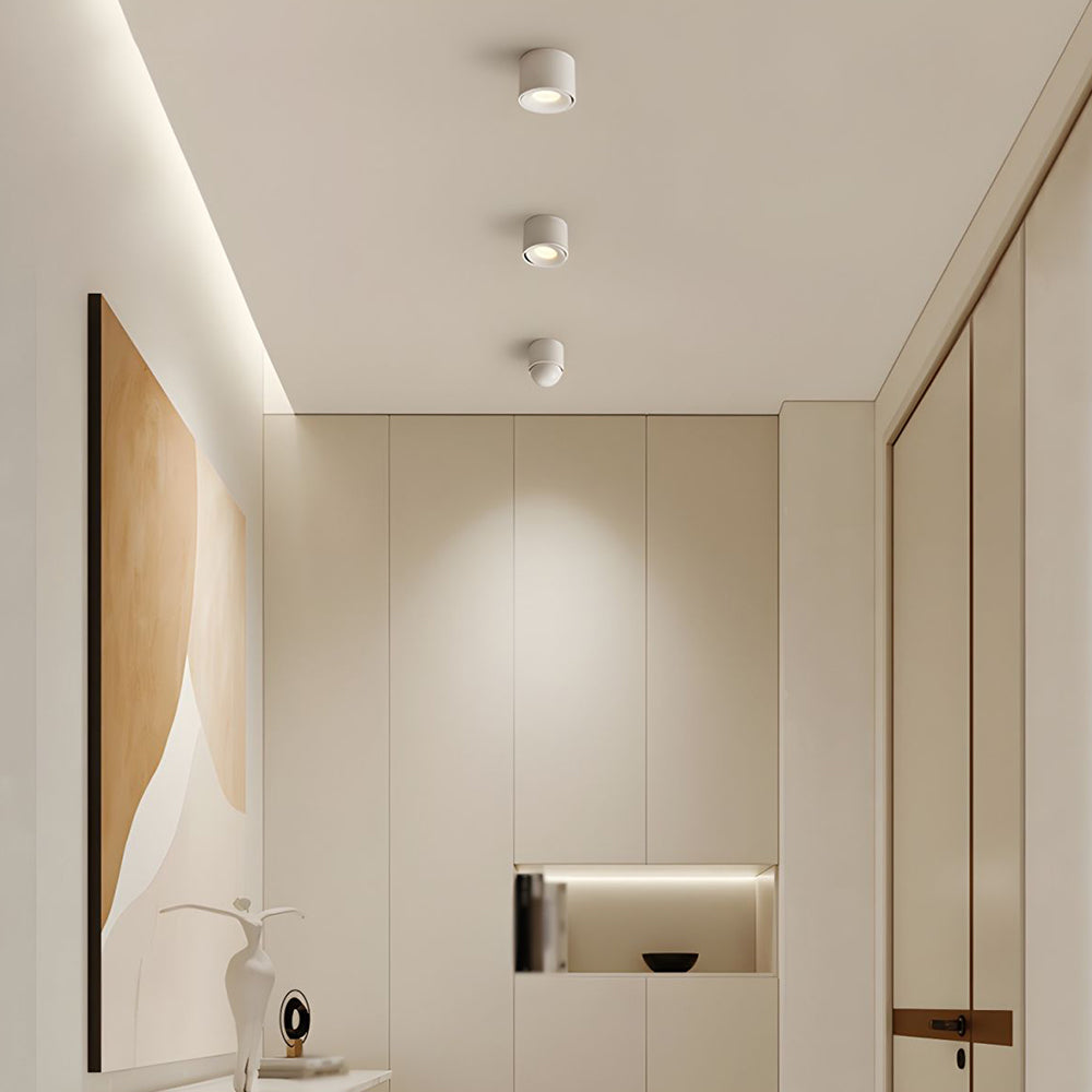 Lumitilt - Adjustable Tilt LED Ceiling Downlight