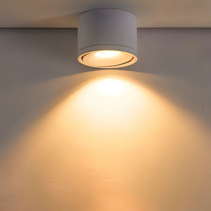 Lumitilt - Adjustable Tilt LED Ceiling Downlight