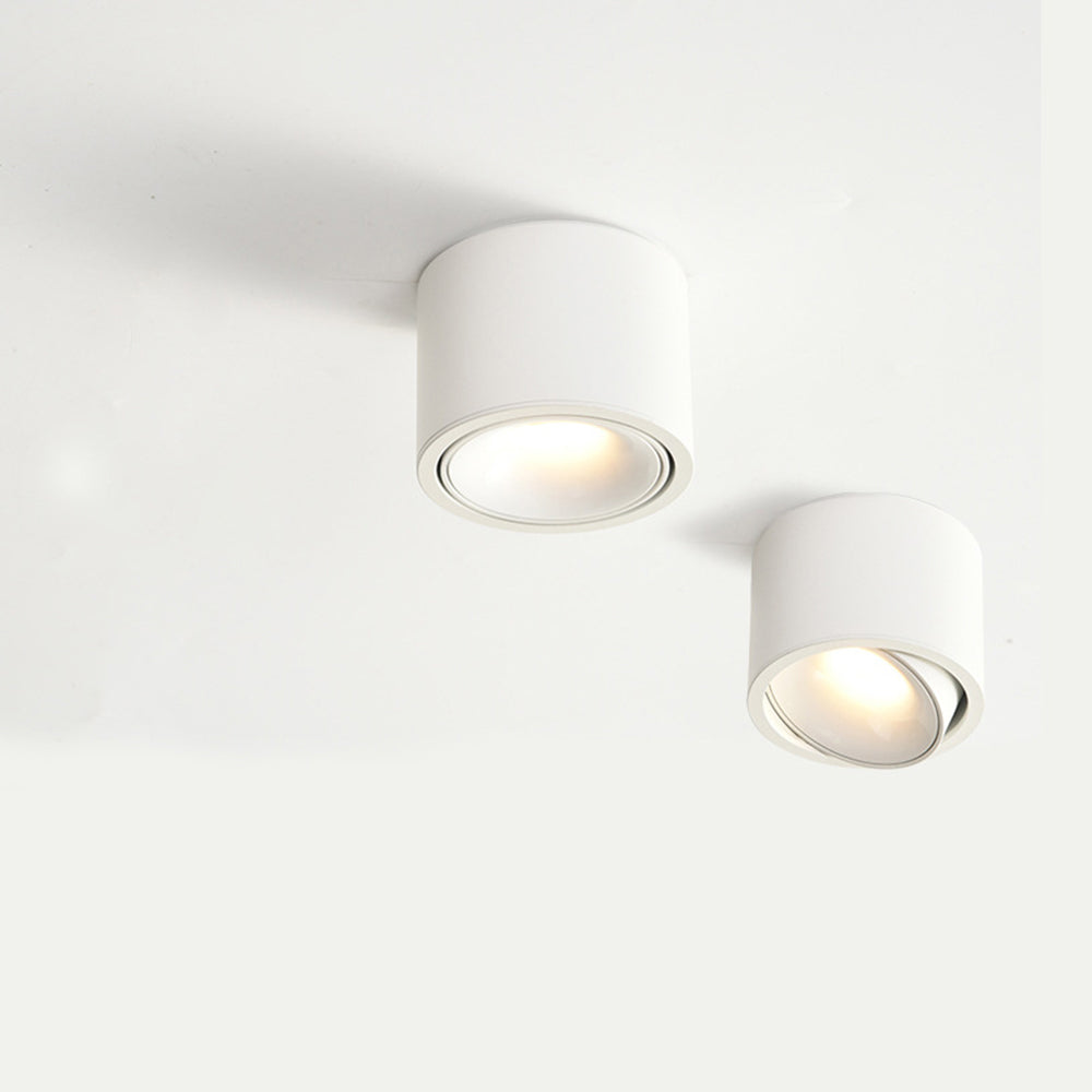 Lumitilt - Adjustable Tilt LED Ceiling Downlight