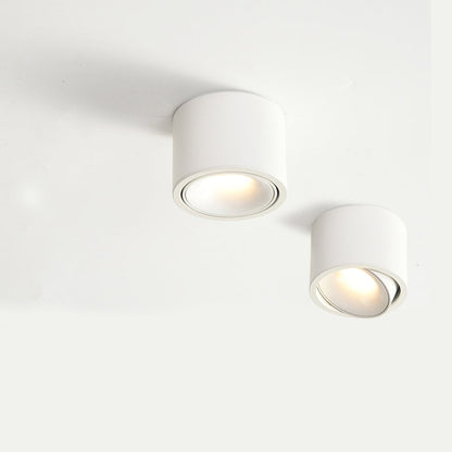 Lumitilt - Adjustable Tilt LED Ceiling Downlight