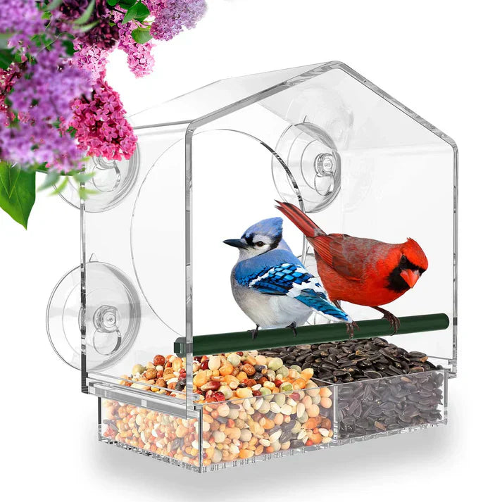 CrystalFeeder | Transparent Acrylic Bird Feeder Station