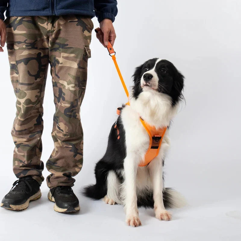 PawLink | Durable & Comfortable Dog Leash2
