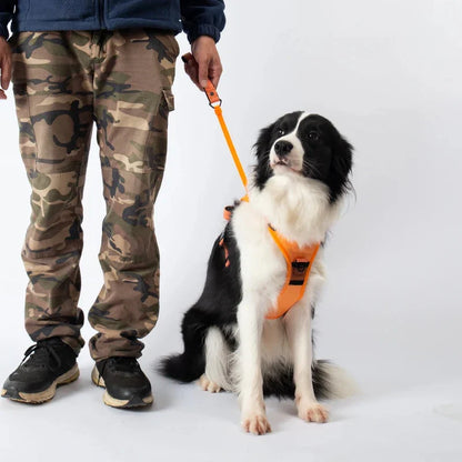 PawLink | Durable & Comfortable Dog Leash2