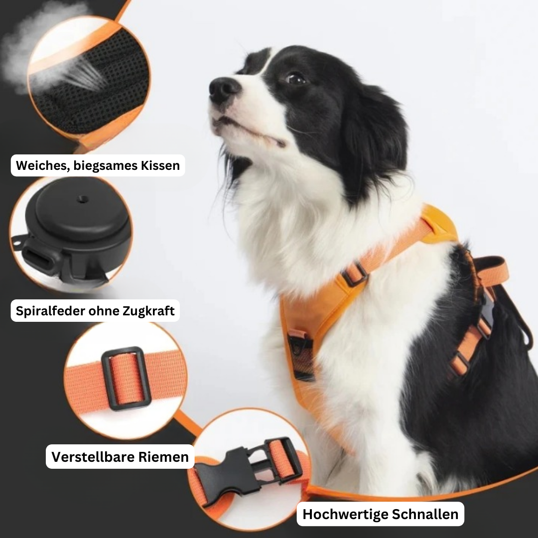 PawLink | Durable & Comfortable Dog Leash3