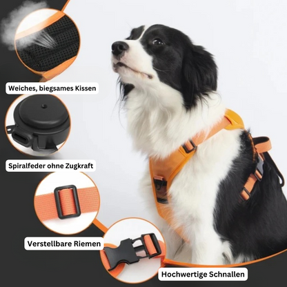 PawLink | Durable & Comfortable Dog Leash3