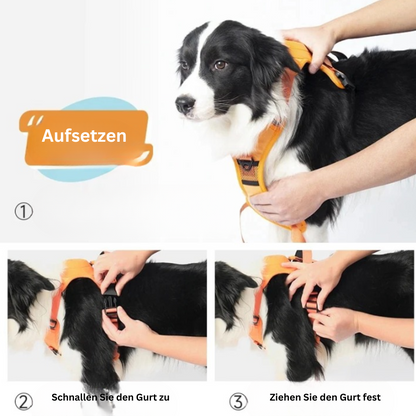 PawLink | Durable & Comfortable Dog Leash4