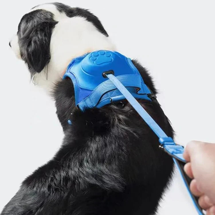 PawLink | Durable & Comfortable Dog Leash5