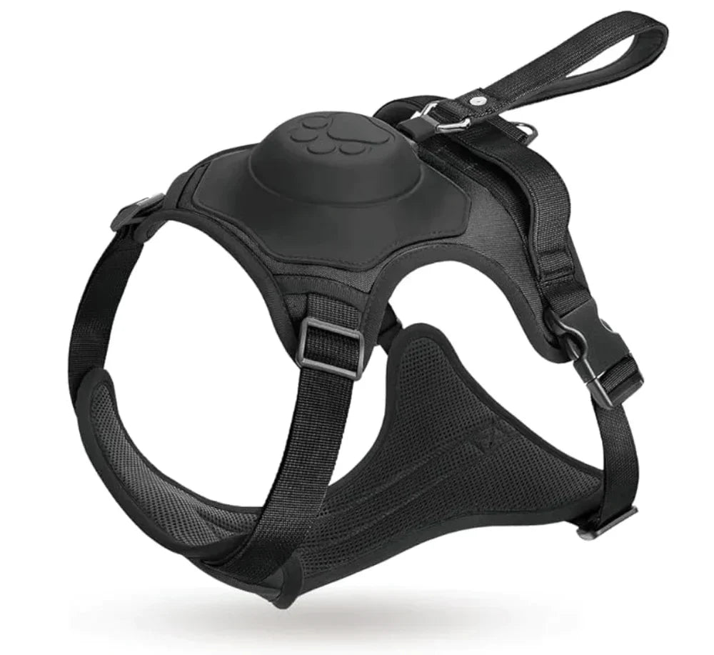 PawLink | Durable & Comfortable Dog Leash9