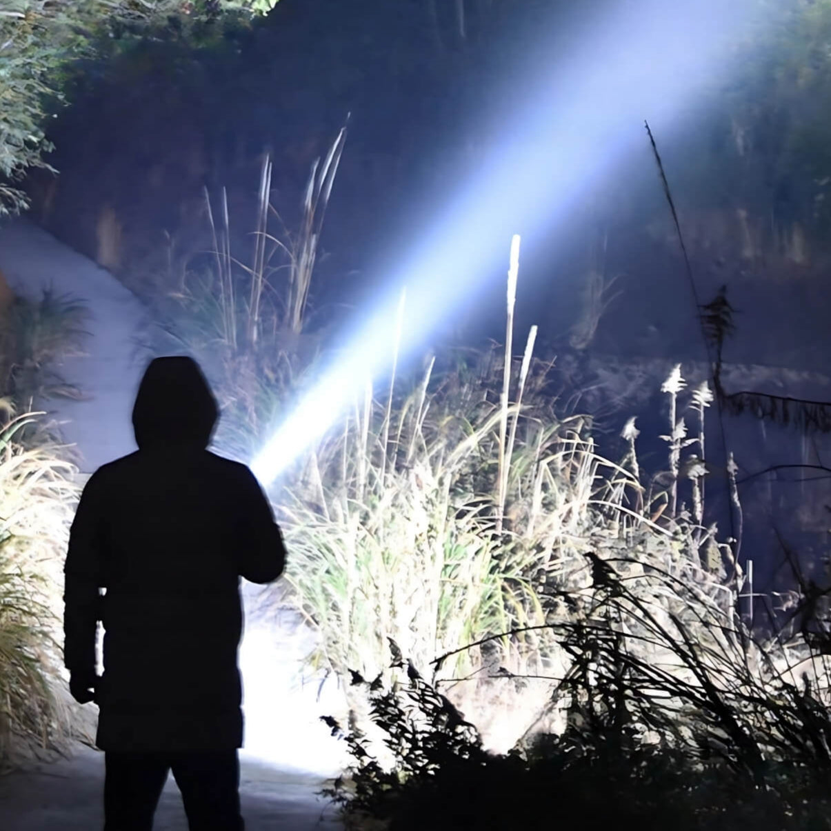 PowerTorch | The ultimate LED torch for every adventure