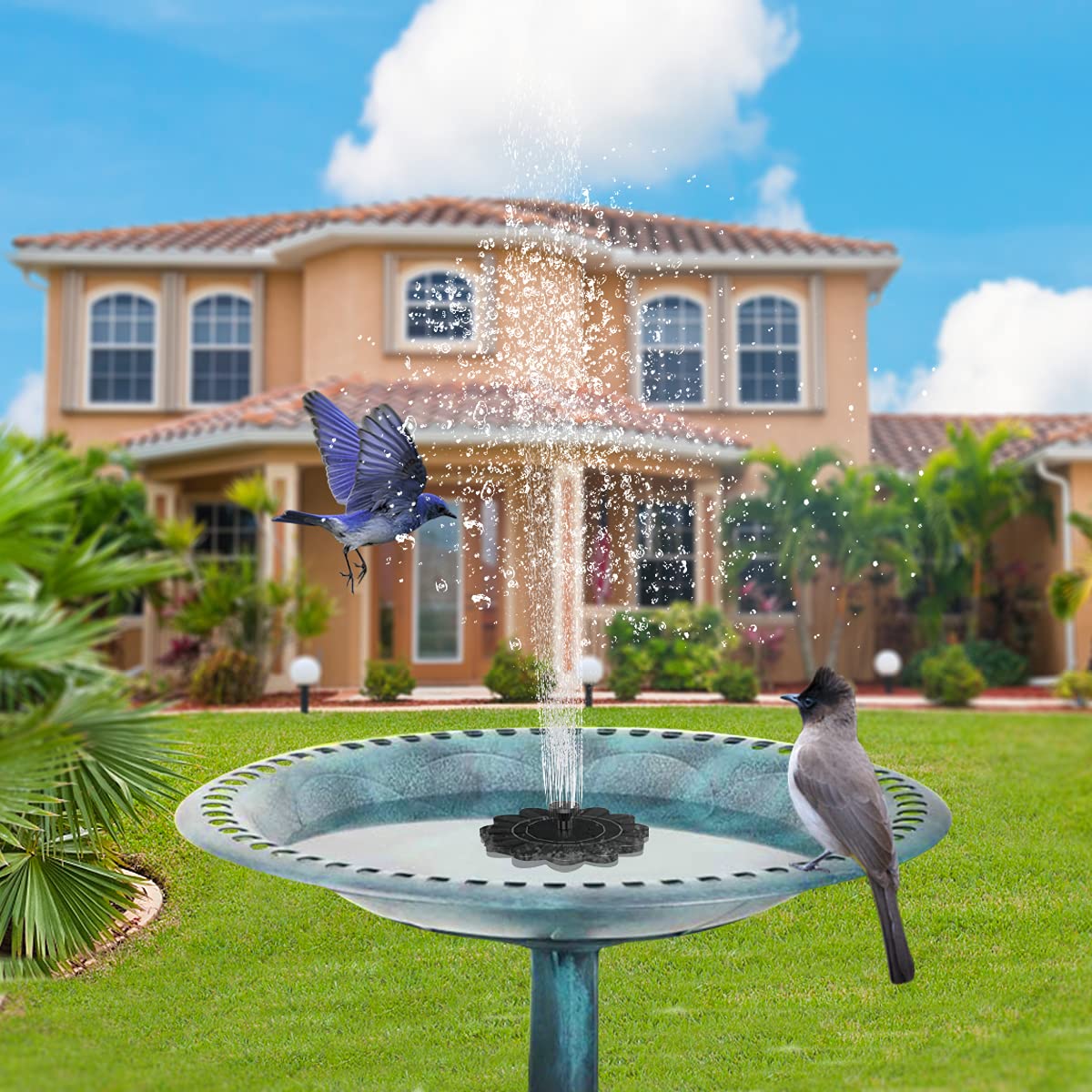 LilyShine | Flower-Shaped Water Fountain for Ponds and Pools