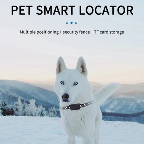 GuardPet | Dog & Cat GPS with 12 Months Battery Life