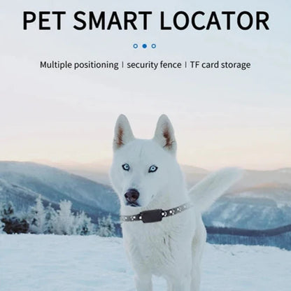 GuardPet | Dog & Cat GPS with 12 Months Battery Life