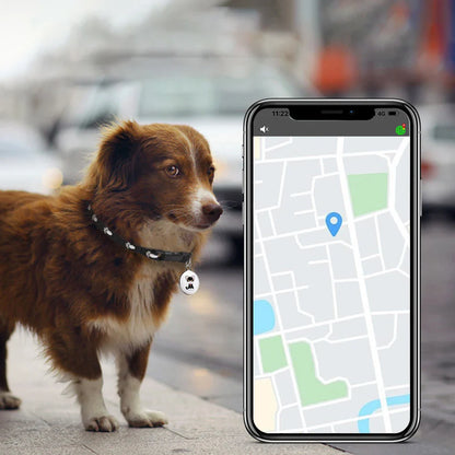 GeoPaw | Smarter Pet Tracker with Global Location