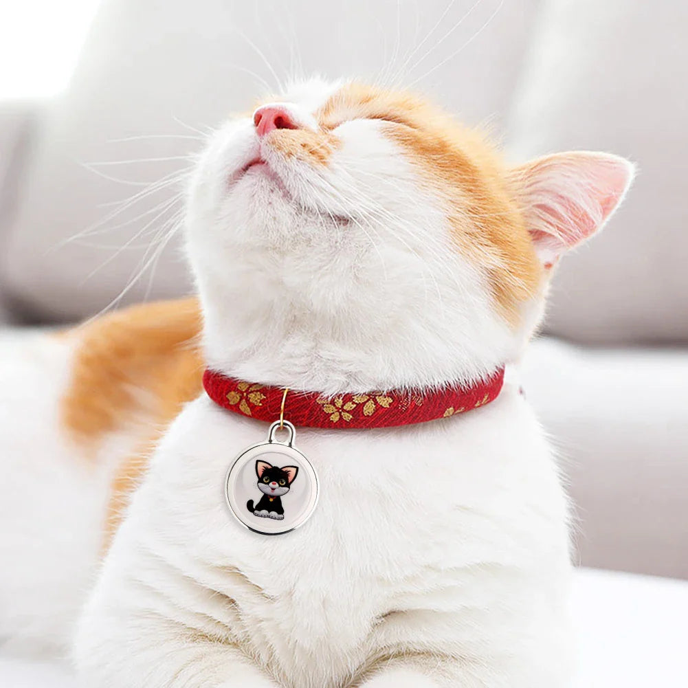 GeoPaw | Smarter Pet Tracker with Global Location