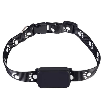 GuardPet | Dog & Cat GPS with 12 Months Battery Life