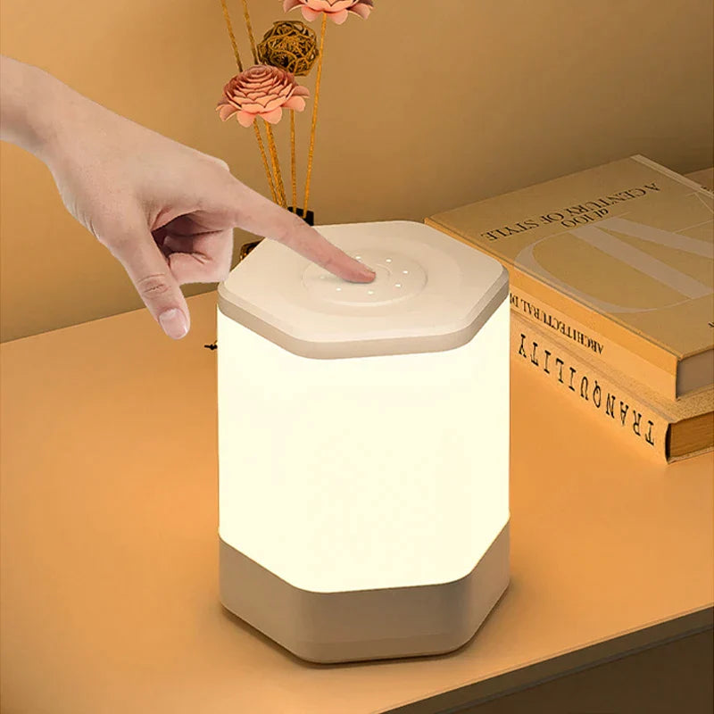 TouchRadiance l Touch Control Lamp1