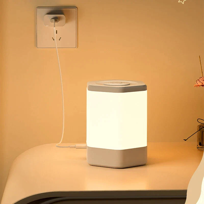 TouchRadiance l Touch Control Lamp2