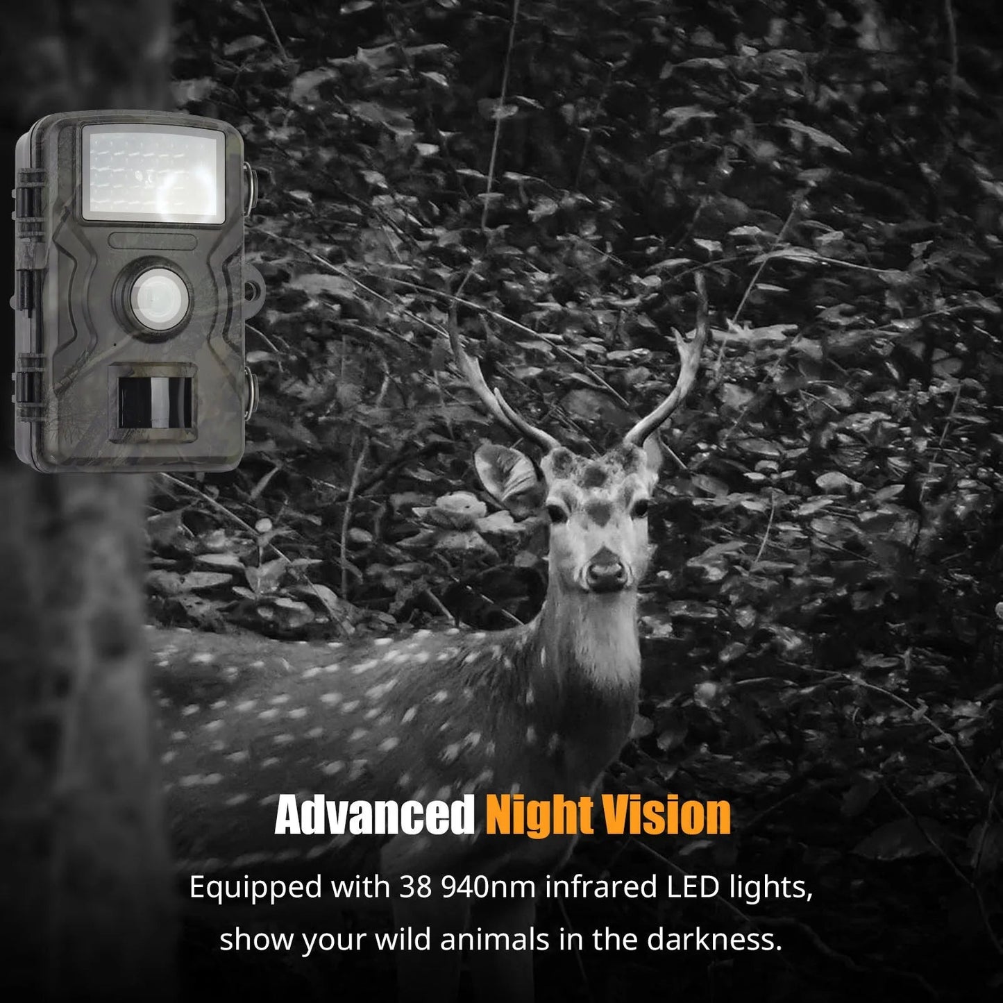 TrailNox - Compact Trail Camera Unit