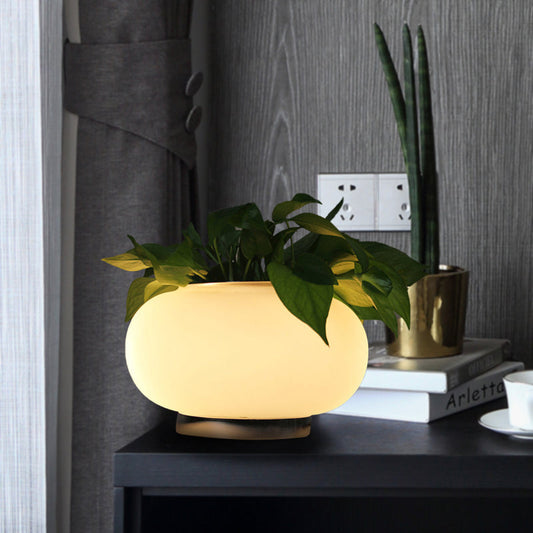 VerdureLume | Ambient Oval Table Lamp1
