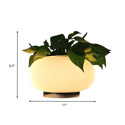 VerdureLume | Ambient Oval Table Lamp5