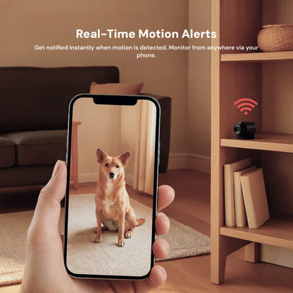 Vigiola - Compact Wireless Camera