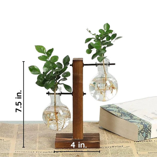 RootFrame | Wooden Frame Hydroponic Plant Vase