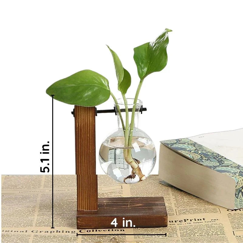 RootFrame | Wooden Frame Hydroponic Plant Vase