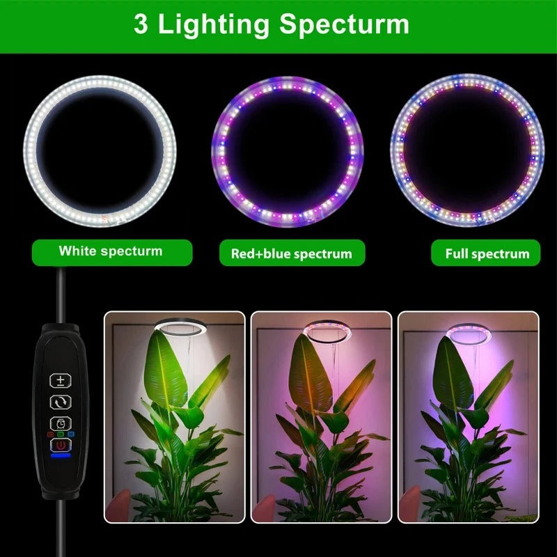 PlantLuxe | Grow Light for Houseplants