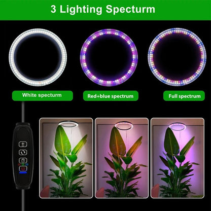 PlantLuxe | Grow Light for Houseplants