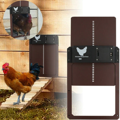 PluimveePro | Automatic Chicken Coop Door