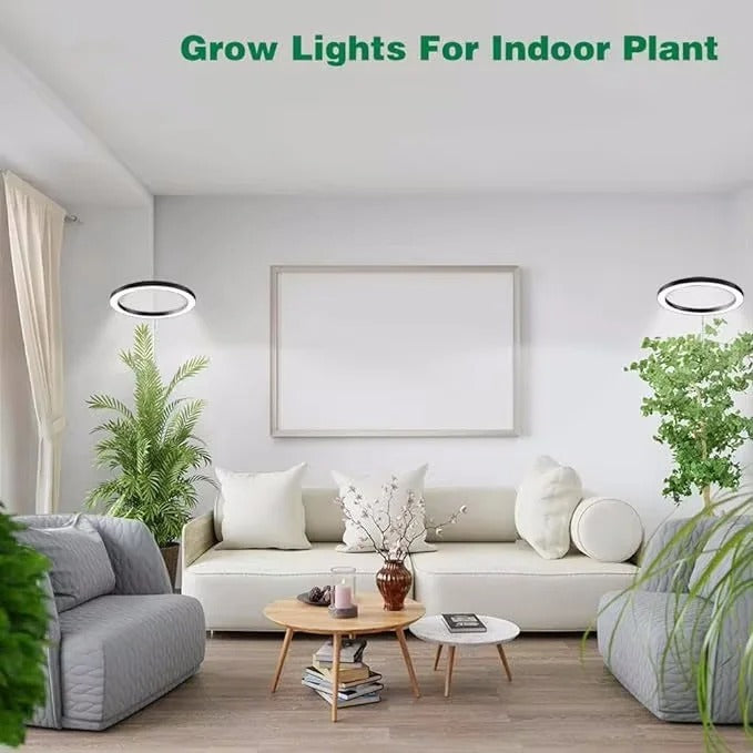 PlantLuxe | Grow Light for Houseplants