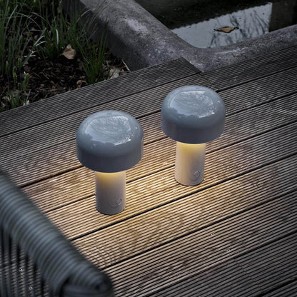 AmberMush | Portable Mushroom Lamp