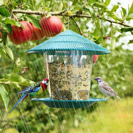 SeedFlow | Hanging Bird Feeder with Automatic Seed Dispenser
