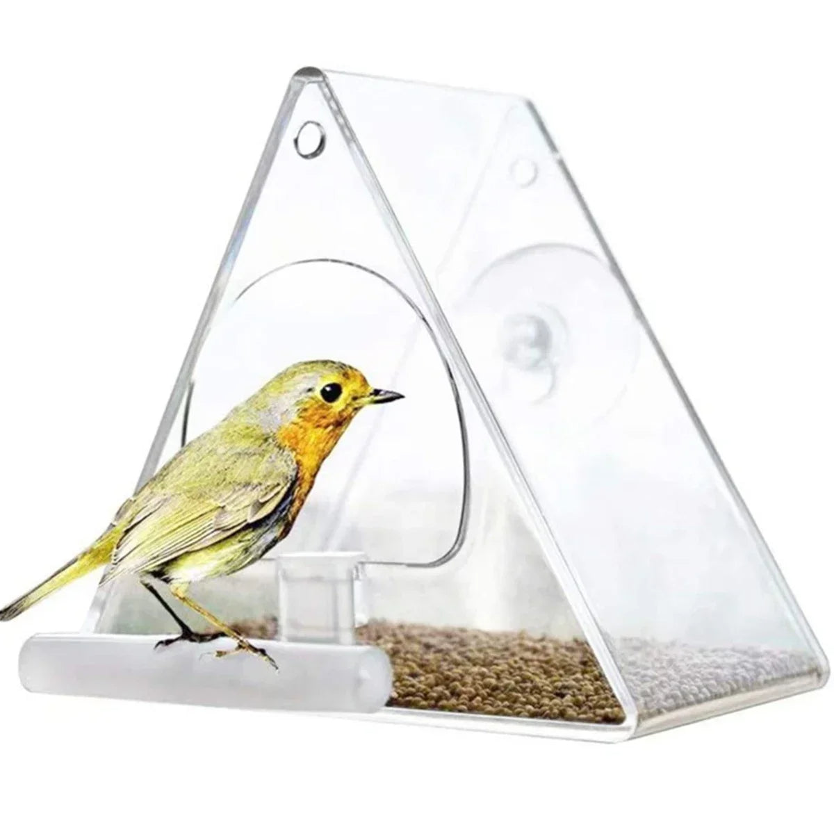 ClearNest | Clear Acrylic Hanging Bird Feeder for Outdoor Use
