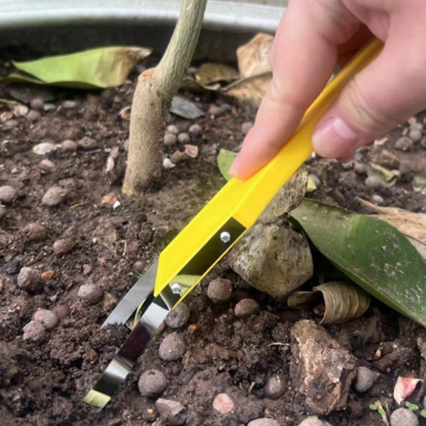 LoopWeed | Portable Weed Puller Tool with Iron Loop Handle