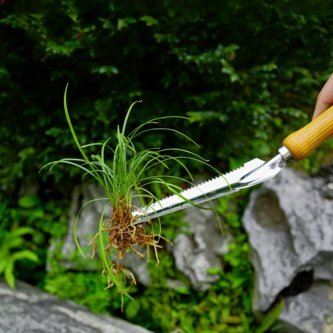 DuoDig | 5-in-1 Stainless Steel Weeding Tool with Beech Wood Handle