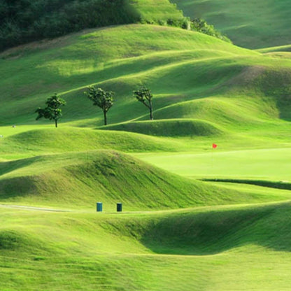 GrassMate | Lawn Repair Mat for Bald Patches