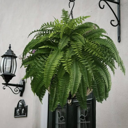 FernLuxe | UV-Resistant Artificial Boston Fern with 18 Fronds