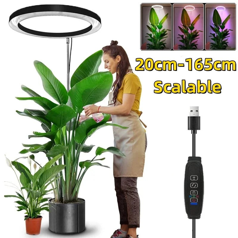 PlantLuxe | Grow Light for Houseplants