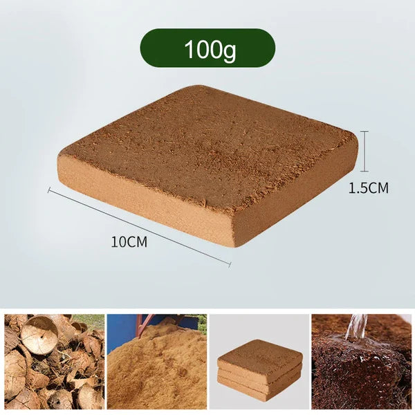 EcoGrow | Organic Coconut Fibre for Plants