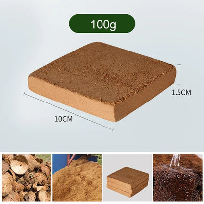 EcoGrow | Organic Coconut Fibre for Plants
