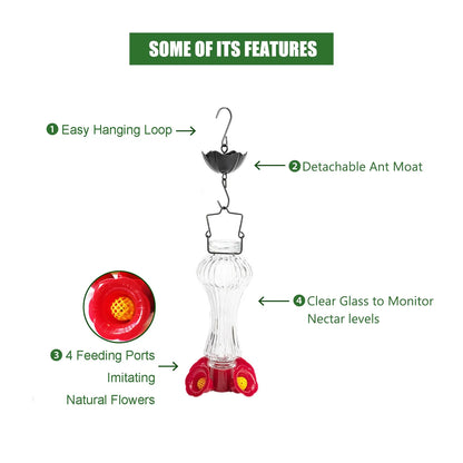 HummiJoy | Flower-Shaped Hummingbird Feeder with Ant Protection