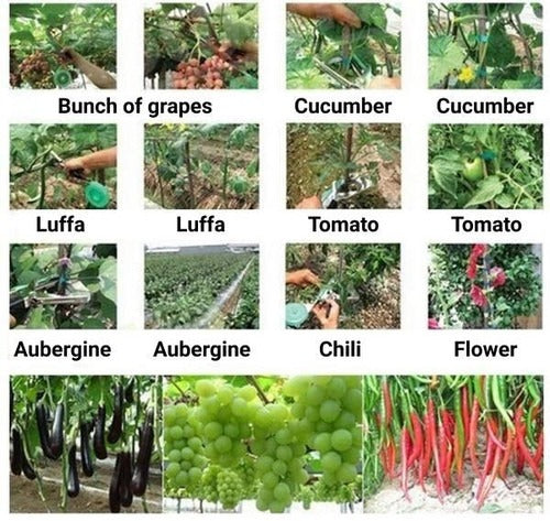 PlantTie | Quick Trellis Tool for Climbing Plants