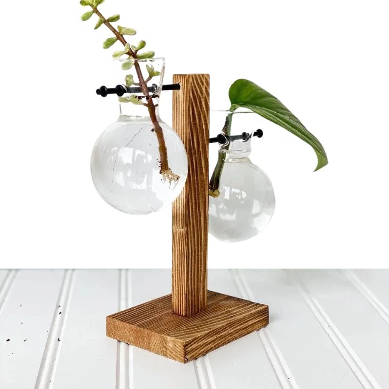 RootFrame | Wooden Frame Hydroponic Plant Vase