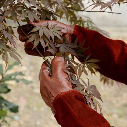 GripBloom | Multifunctional Garden Gloves
