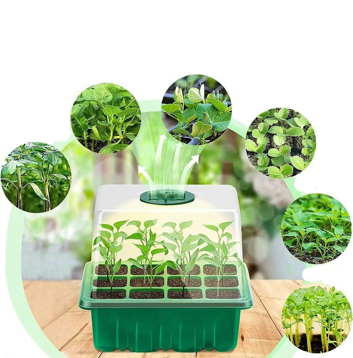 PlantJoy | Indoor Mini Greenhouse with Lighting