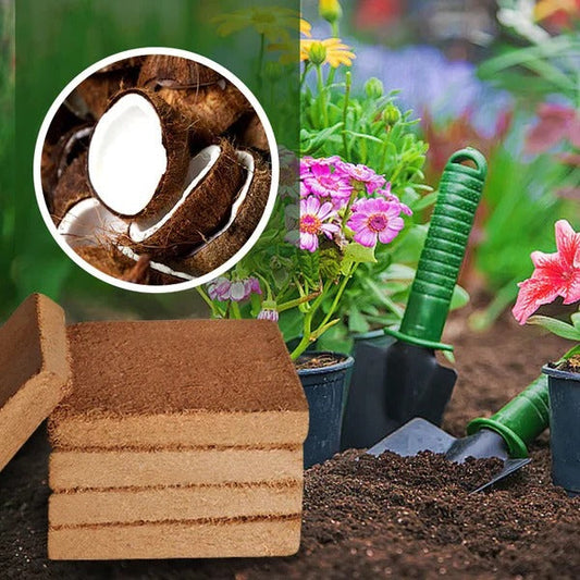 EcoGrow | Organic Coconut Fibre for Plants