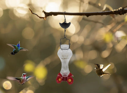 HummiJoy | Flower-Shaped Hummingbird Feeder with Ant Protection