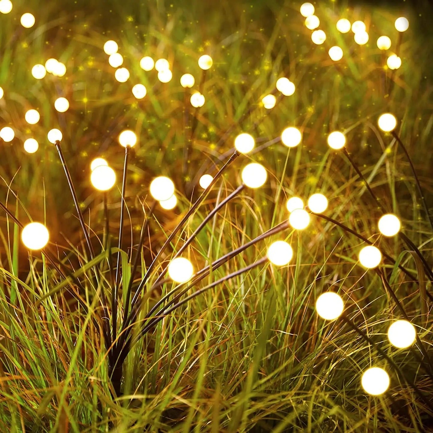 HarmonyHaven | Vibrant & Elegant Garden Lighting