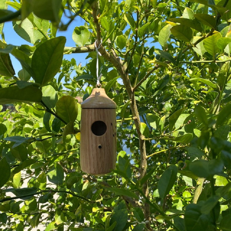 HummiHome | Cute Resin Hummingbird House for Spring & Garden